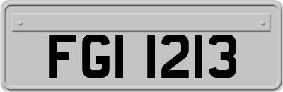 FGI1213