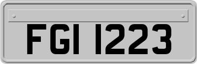 FGI1223