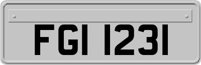 FGI1231