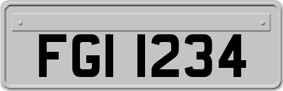 FGI1234