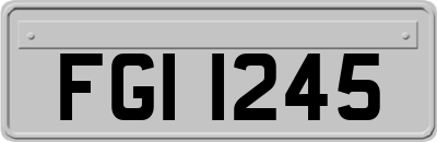 FGI1245