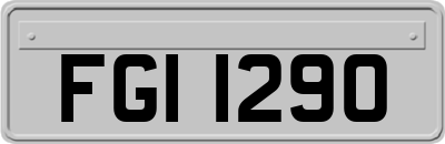 FGI1290