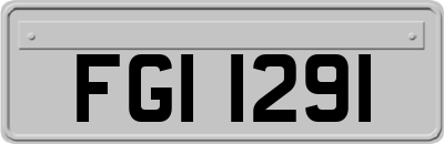 FGI1291