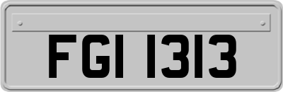 FGI1313