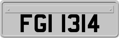 FGI1314