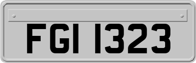 FGI1323