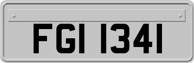 FGI1341