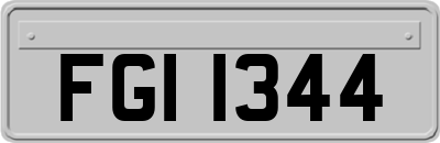 FGI1344
