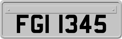 FGI1345