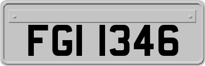 FGI1346