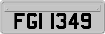 FGI1349