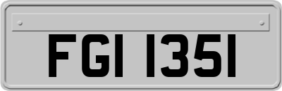 FGI1351