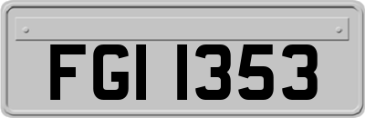 FGI1353