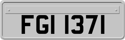 FGI1371