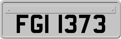 FGI1373