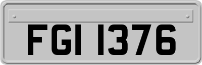 FGI1376