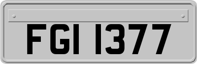 FGI1377