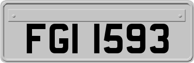 FGI1593