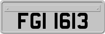 FGI1613