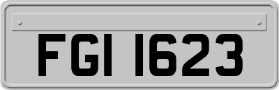 FGI1623