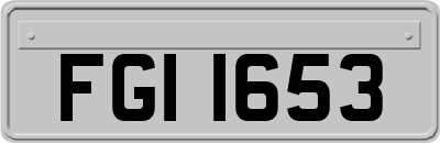 FGI1653