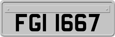 FGI1667