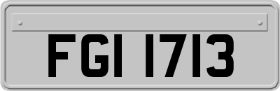 FGI1713