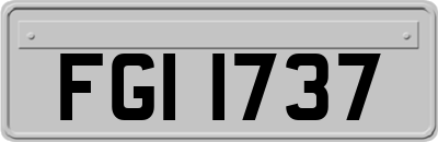 FGI1737