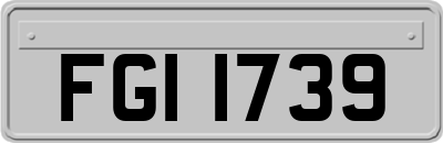 FGI1739