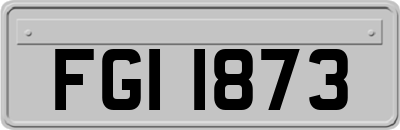 FGI1873