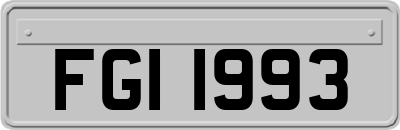 FGI1993