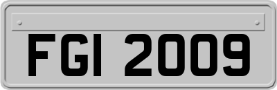 FGI2009