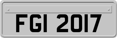 FGI2017