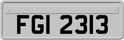 FGI2313