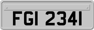 FGI2341