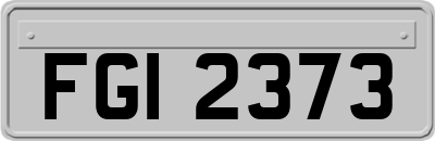 FGI2373
