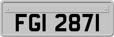 FGI2871