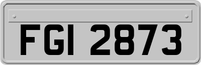 FGI2873