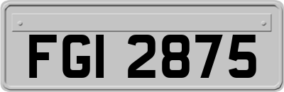 FGI2875