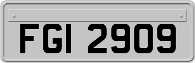 FGI2909