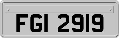 FGI2919