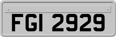 FGI2929