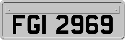 FGI2969