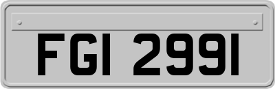 FGI2991