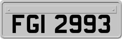 FGI2993