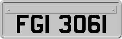 FGI3061