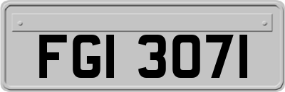 FGI3071