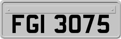 FGI3075