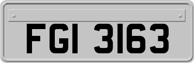 FGI3163