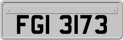 FGI3173